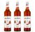 Sirop Caramel Sal&eacute; Bouteille plastique 3 x 1L MONIN image