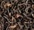 Th&eacute; Noir Darjeeling Sup&eacute;rieur GFOP - Vrac 100 g - DAMMANN FR&Egrave;RES image