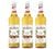 Sirop Noisette Bouteille plastique 3 x 1L - MONIN image