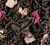 Th&eacute; Noir Rose - Vrac 100 g - DAMMANN FR&Egrave;RES image