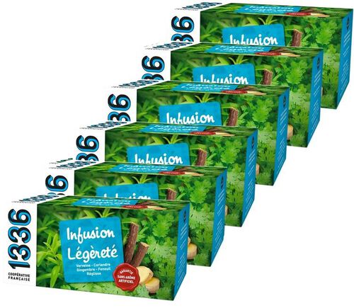 Infusion L&eacute;g&egrave;ret&eacute; - 6 x 25 sachets - 1336 (Scop TI)