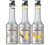 Lot de 3 pur&eacute;es de fruits 1L - Coco, Ananas, Mangue - MONIN image