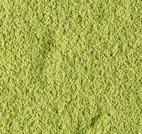 Dammann Fr&egrave;res Japanese Matcha Green Tea - 20g image number 3