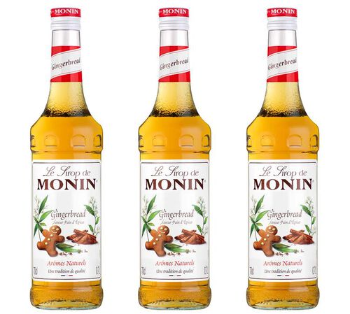 Sirop - Pain d'&eacute;pices - Lot 3 x 70 cl - MONIN