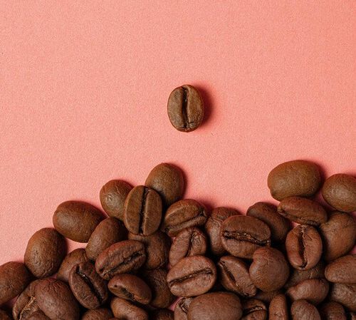 250 g - Caf&eacute; en grain - Petal Storm - 1895 COFFEE DESIGNERS BY LAVAZZA image number 3