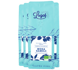 Cafés Lugat Organic Coffee Beans Moka Gamoji from Ethiopia - 1kg