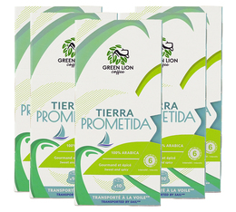 50 Nespresso* Original Compatible Capsules Tierra Prometida – GREEN LION COFFEE