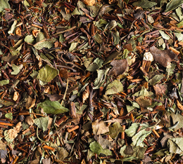 Dammann Frères Loose Leaf Rooibos Tea Lucky Thyme - 100g