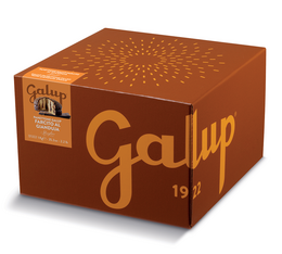 Galup Panettone with Streglio Gianduja Cream Filling - 1kg 