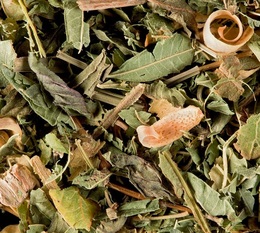 Dammann Frères Tisane du Berger Loose leaf Infusion - 100g