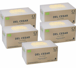 Pack 50 Capsules Colombie Del Cesar Bio - compatible Nespresso® - TERRES DE CAFE