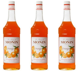 Lot de 3 Sirops pour professionnel Orange 3 x 1L - MONIN