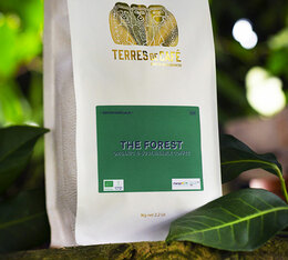 terres de cafe the forest