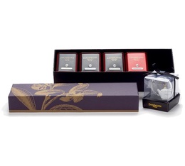 Voyages Collection Box: Lointains - 4 teas and infuser - Dammann Frères