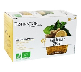 Tisane Ginger zest Bio - 20 sachets fraicheurs - Destination