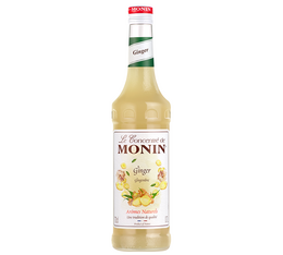 sirop monin concentre gingembre