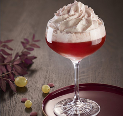 cocktail sirop chocolat ruby 1883 routin