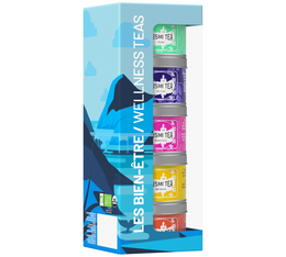 Kusmi Tea Wellness Gift Set - 5 x 25g loose tea tins