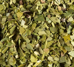 Maté Green Tea - 100g loose leaf tea - Dammann Frères