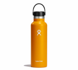 Bouteille isotherme HYDROFLASK Standard Flex Cap - Starfish 62 cl