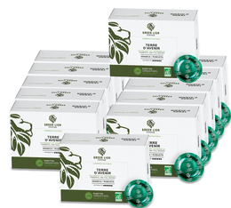 300 dosettes (200 + 100 offertes) compatibles Nespresso® pro Terre d'avenir Commerce Equitable Bio - GREEN LION COFFEE