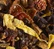 Dammann Frères Hibiscus Tea Pomme d'Amour Infusion - 100g loose leaf