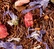 Rooibos Fruits Rouges loose leaf fruit infusion - 100g - Dammann