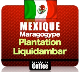 Liquidambar ground coffee - Mexico - 250g