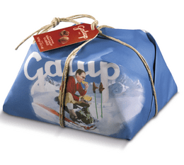 Galup Traditional Panettone - 1kg