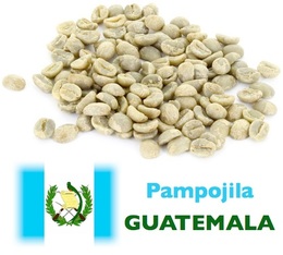 Pampojila raw coffee - Guatemala - Washed - 1kg