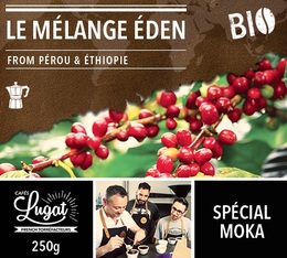 Organic ground coffee for moka pots: Le Mélange Eden (Eden Blend) - 250g - Cafés Lugat