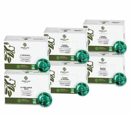 Green Lion Coffee Nespresso® Professional Compatible Capsules Discovery Pack x 300