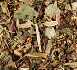 Star Elixir herbal&green tea - 100g loose leaf tea - Dammann Frères
