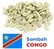 Environmentally friendly, Washed Congo Sombah coffee - Kivu region - 1kg