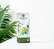Spring Blend Organic Coffee Green Lion