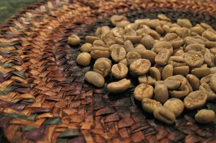 café moulu pour chemex giidaami ethiopie