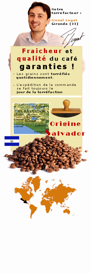 Torrefacteur - café en grains  du Pacamara du Salvador