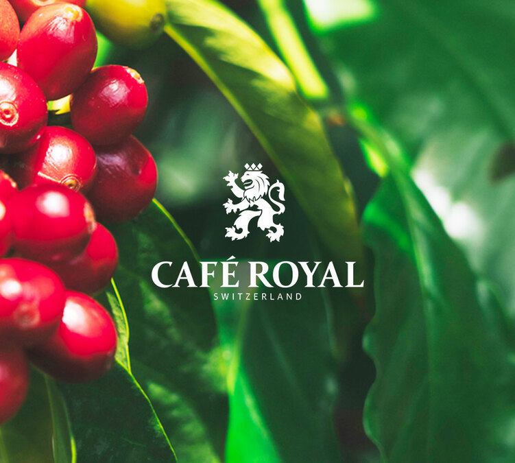 Café royal en grain 