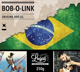 Café moulu pour cafetière Hario/Chemex : Brésil - Bob-o-link - 250g - Cafés Lugat
