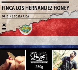 Café moulu pour cafetière Hario/Chemex : Costa Rica - Finca Los Hernandez Honey - 250g - Cafés Lugat