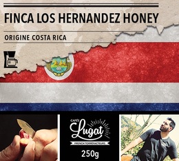 Café moulu pour cafetière filtre : Costa Rica - Finca Los Hernandez Honey - 250g - Cafés Lugat
