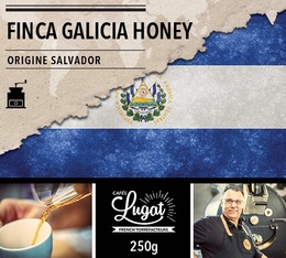 Café moulu : Salvador - Finca Villa Galicia Honey - 250g - Cafés Lugat