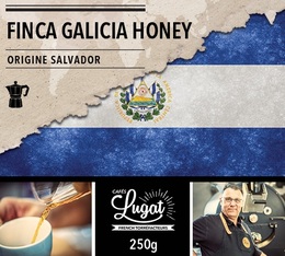 Café moulu pour cafetière italienne : Salvador - Finca Villa Galicia Honey - 250g - Cafés Lugat