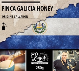 Café moulu pour cafetière piston : Salvador - Finca Villa Galicia Honey - 250g - Cafés Lugat