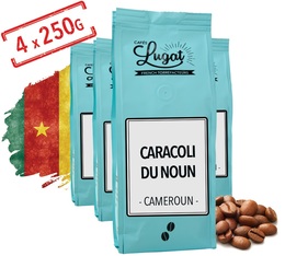 Café en grains - Cameroun - Caracoli du Noun - 1kg - Cafés Lugat