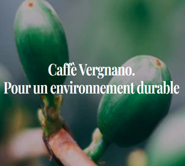 Caffe Vergnano environnement 