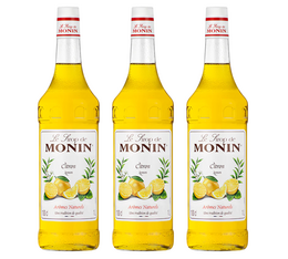 Sirop Monin - Citron - 2 x 1 L