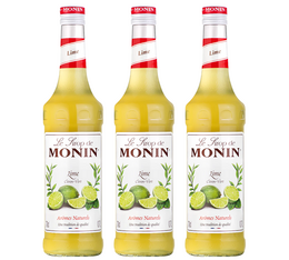 Lot de 3 Sirops pour professionnel - Citron vert - 3 x 70 cl - MONIN