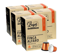 50 Capsules Finca Alfaro - Nespresso®compatible - CAFES LUGAT