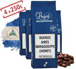 Café en grains : Nicaragua - Finca Buenos Aires Maragogype Honey - 1kg - Cafés Lugat